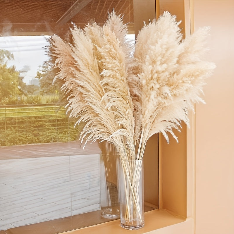 Pasto de las pampas natural de 10 ramas, 116.84 cm, decoración para bodas, fiestas, casas de campo y estilo bohemio