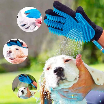 Cepillo Guante Manguera Mascota Baño Perro Gato Ducha Canina