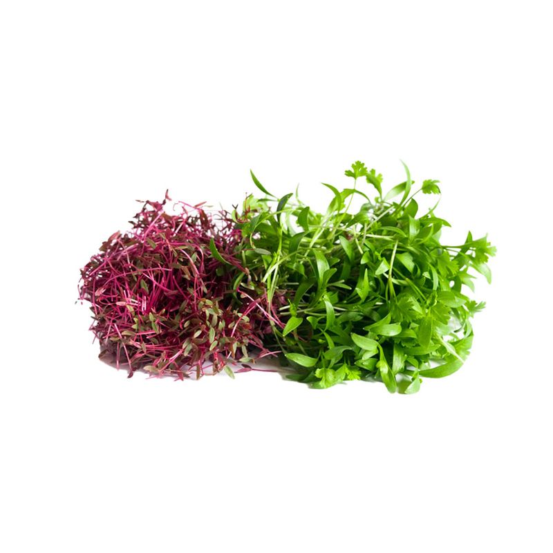 BROTES MIX HORTIFRESCO 30G