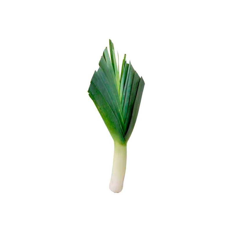 CEBOLLA PUERRO ORG HORTIFRESCO 500G