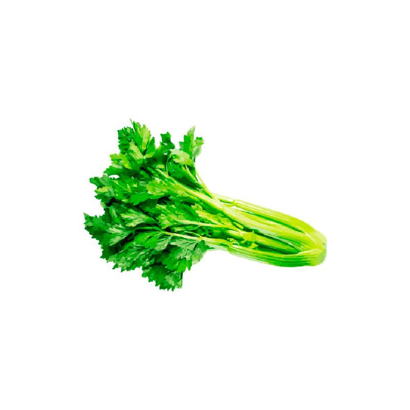 APIO ORG HORTIFRESCO 300G