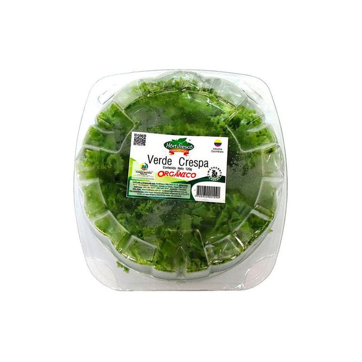 LECHUGA CRESPA HORTIFRESCO 120G ORGANICA
