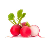 RUGULA HORTIFRESCO 150G BANDEJA