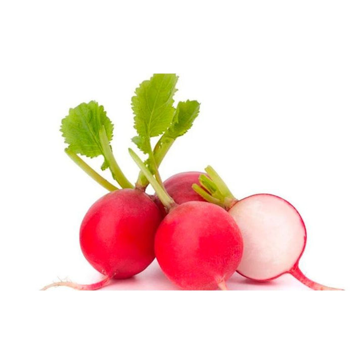 RUGULA HORTIFRESCO 150G BANDEJA