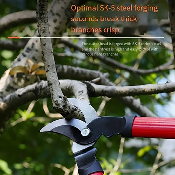 1 pieza de tijeras de poda de jardín de estilo clásico, hoja de acero al carbono SK5, cortadora de mano de metal duradera para arbustos y ramas gruesas, no necesita electricidad, cortadoras para jardín