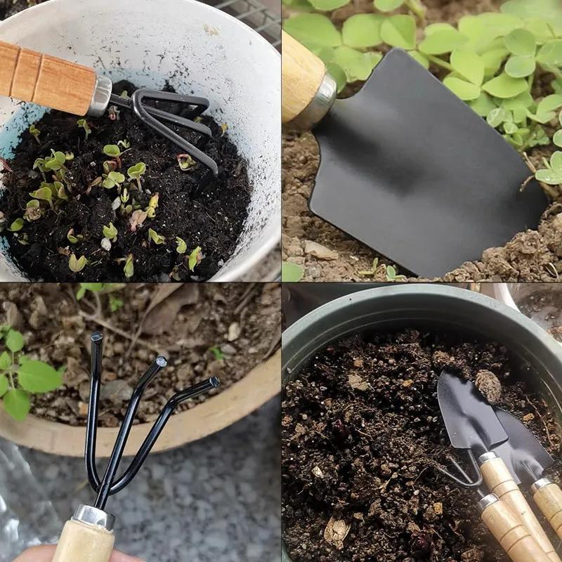 Juego de 3 piezas para jardín, herramientas pequeñas para plantas, palas y macetas, cactus y vegetales, herramientas de excavación y deshierbe, utensilios para interiores