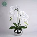 1 Pieza, Orquídea De Imitación, Planta En Maceta, Adorno De Flores En Maceta, Planta Decorativa De Flores, Accesorios Para Fotos, Decoración Al Aire Libre, Decoración Del Hogar, Regalos Para El Día De La Madre, Regalos De Cumpleaños
