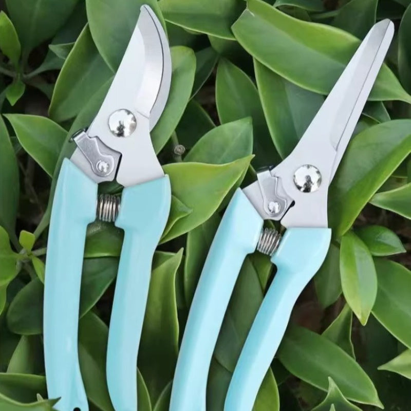 2 Piezas de Tijeras de Jardín (Azules), Set Premium de Tijeras de Poda, Cortaúñas y Cuchillas Rectas para Jardinería, Acero al Carbono Afilado, Tijeras Florales para Recortar Flores, Plantas y Bonsái, Ideales para Frutas