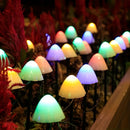 Luces Solares para Patio, calificación, Luces de Hadas Solares para Jardín, Porche, Decoración de Bodas y Fiestas, Luz de Ambiente para Navidad, 1 juego de 3.5 metros 10 luces