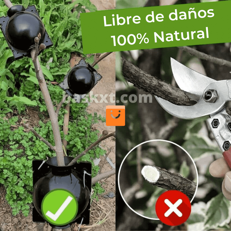 PACK 5 Unds RootEasy™️ - Cultiva plantas rápidamente