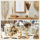 50pcs Decoraciones de Hierba de Pampa de Alta Calidad - Ramos de Caña Seca, Adecuados para Decoración del Hogar, Decoración de Eventos, Decoración Central de Bodas, Temporadas Festivas (Navidad, Halloween, Pascua, Hanukkah, Acción de Gracias)