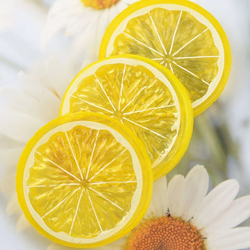 20-Unidades de 5 cm de Rebanadas de Limón Amarillo - Fruta Artificial de Plástico Realista, Ideal para Decoración del Hogar, Navidad, Acción de Gracias, Día de San Valentín, Día de la Madre, Graduación, Reunión, Fiestas de Playa y Cócteles sin Contenedor