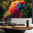 Decodificador Android 10 1GB/8GB, 2GB/16GB Reproductor HD Smart TVBox con control remoto infrarrojo y USB, imprescindible en el hogar, el regalo perfecto para la familia