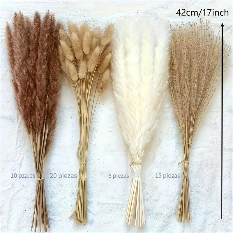 50pcs Decoraciones de Hierba de Pampa de Alta Calidad - Ramos de Caña Seca, Adecuados para Decoración del Hogar, Decoración de Eventos, Decoración Central de Bodas, Temporadas Festivas (Navidad, Halloween, Pascua, Hanukkah, Acción de Gracias)