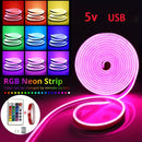 Luces LED RGB con interfaz USB de baja tensión 5V, mando remoto de 24 teclas, ideales para sala, dormitorio, bodas, decoración DIY, temporada de graduaciones y fiestas independientes - luces neón