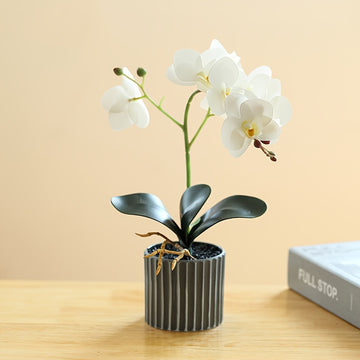 Bonsái Elegante de Orquídea Phalaenopsis de 8 Flores - Planta Artificial Realista en Maceta para Decoración del Hogar, Incluye Maceta