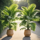 Juego de 2 palmeras artificiales tropicales de gran tamaño de 127 cm - Hojas verdes vibrantes, decoración duradera de plástico para interiores y exteriores, adecuada para Navidad, Acción de Gracias, Día de la Madre, Domingo de Ramos | No se necesita rega