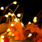 Luces Micro Led Fija Decoración X20 Led Luz Navidad Función Pila Cálido TX20BCA