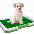 Tapete De Entrenamiento Interiores Perros Pequeños Puppy Pad