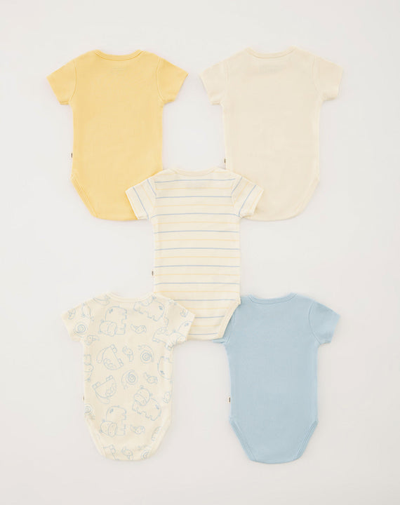 Body Cometa X5 718927 Baby Fresh