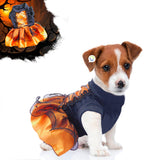 Disfraz Bruja Para Perro Gato Mascotas  Halloween GD01BRUJN