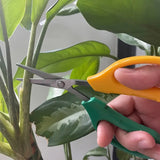 Tijeras de podar para jardín, juego de 4 piezas - Tijeras de fruta de acero inoxidable ambidiestras, podadoras manuales de derivación para el mantenimiento de jardines y bonsáis, recolección de uvas, poda de árboles y ramas sin electricidad ni baterías.