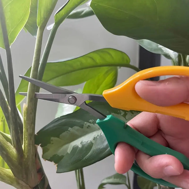 Tijeras de podar para jardín, juego de 4 piezas - Tijeras de fruta de acero inoxidable ambidiestras, podadoras manuales de derivación para el mantenimiento de jardines y bonsáis, recolección de uvas, poda de árboles y ramas sin electricidad ni baterías.