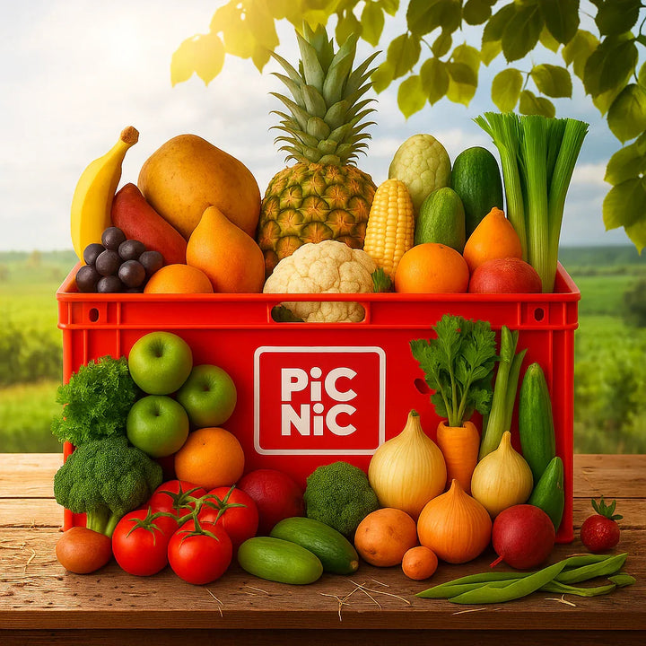 Canasta 🌻 Festival de la Tierra