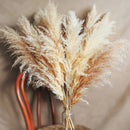 10 piezas de hierba de pampas artificial suave, tallos de caña falsos para jarrón de piso, ramilletes de boda, decoración de pared y mesa de granja, versátiles para Navidad, San Patricio, Año Nuevo, San Valentín, Pascua, Acción de Gracias