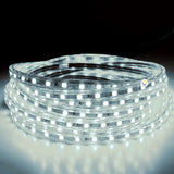 Manguera Plana Luz LED 3 Metros Navidad Blanca 2835WSB