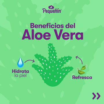TOALLA HUM ALOE VERA X120 PEQUEÑIN