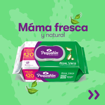 TOALLA HUM ALOE VERA X120 PEQUEÑIN