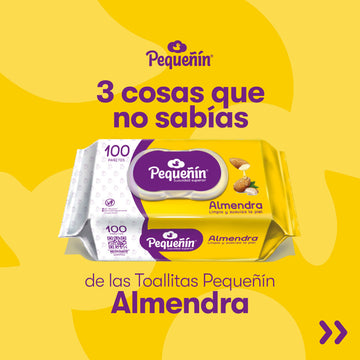 TOALLA HUMEDA ALMENDRA X100 PEQUEÑIN