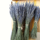 Paquete de 115 piezas de Eucalipto Fresco y Lavanda - Tallos Eternos para la Ducha, Decoración del Hogar, Bodas y Proyectos de Primavera de Estilo Granja DIY