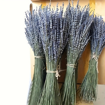 Paquete de 115 piezas de Eucalipto Fresco y Lavanda - Tallos Eternos para la Ducha, Decoración del Hogar, Bodas y Proyectos de Primavera de Estilo Granja DIY