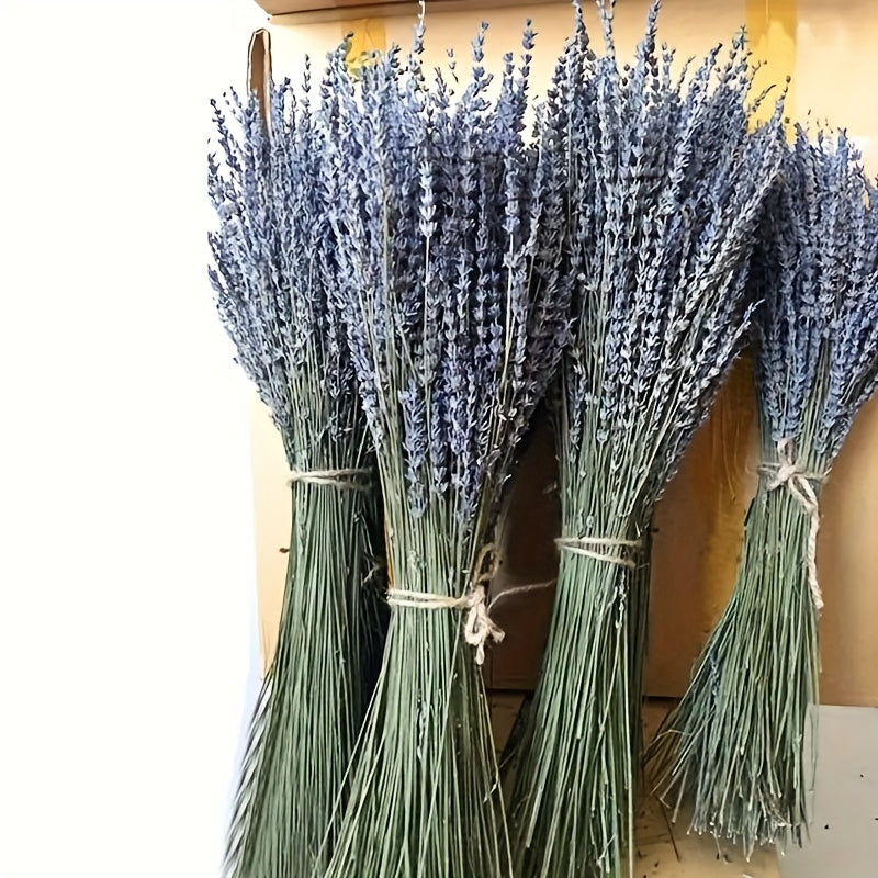 Paquete de 115 piezas de Eucalipto Fresco y Lavanda - Tallos Eternos para la Ducha, Decoración del Hogar, Bodas y Proyectos de Primavera de Estilo Granja DIY