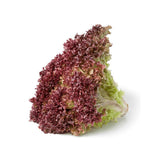 LECHUGA MORADA HORTIFRESCO 120G ORGANICA