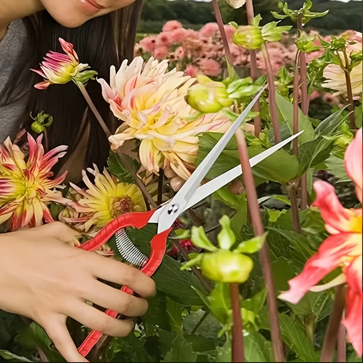 Tijeras de Poda de Acero Inoxidable Extra-Largas - Tijeras de Jardín Versátiles para Bonsái, Espinas, Rosas y Cosecha - Diseño Ergonómico con Funda Protectora, Flores, Hierbas, Frutas, Áreas Densas