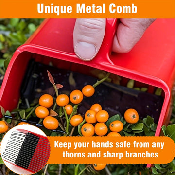Peine recolector de bayas 1 pieza, recolector portátil de bayas, rastrillo manual para arándanos, herramientas de recogida de frutas de plástico y metal con mango ergonómico, cesta para recolección de bayas, herramientas de jardinería y exteriores