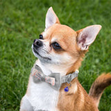 Collar Corbatín Con Cascabel Perros Gatos Correa Mascotas MAS44