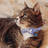 Collar Corbatín Con Cascabel Perros Gatos Correa Mascotas MAS44
