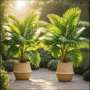 Juego de 2 palmeras artificiales tropicales de gran tamaño de 127 cm - Hojas verdes vibrantes, decoración duradera de plástico para interiores y exteriores, adecuada para Navidad, Acción de Gracias, Día de la Madre, Domingo de Ramos | No se necesita rega