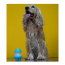 BATH BRUSH PARA PERROS COLORES