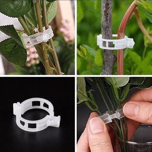 GrowGuard™ - 100 Unidades Clips de soporte para plantas