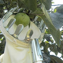 1/2 piezas, Herramienta de Jardinería Agrícola para Recolección de Frutas en Altura - Recolector Portátil de Metal