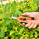 Juego de 2 Tijeras de Poda de Acero Inoxidable - Ambidiestras, Hoja Afilada para Bonsái, Árboles Frutales y Flores - Herramienta de Jardín Moderna