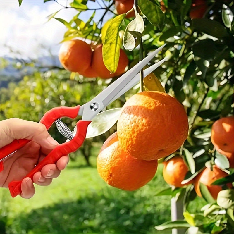 Tijeras de Poda de Acero Inoxidable Extra-Largas - Tijeras de Jardín Versátiles para Bonsái, Espinas, Rosas y Cosecha - Diseño Ergonómico con Funda Protectora, Flores, Hierbas, Frutas, Áreas Densas