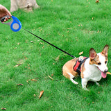 Correa Retráctil 5M Para Mascotas Resistente 14Kg Perro Gato 1419559