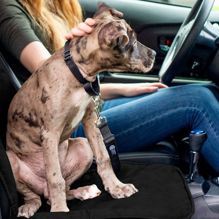 Forro Protector Silla Carro Impermeable Funda Asiento Mascotas 11654G
