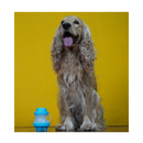 BATH BRUSH PARA PERROS COLORES